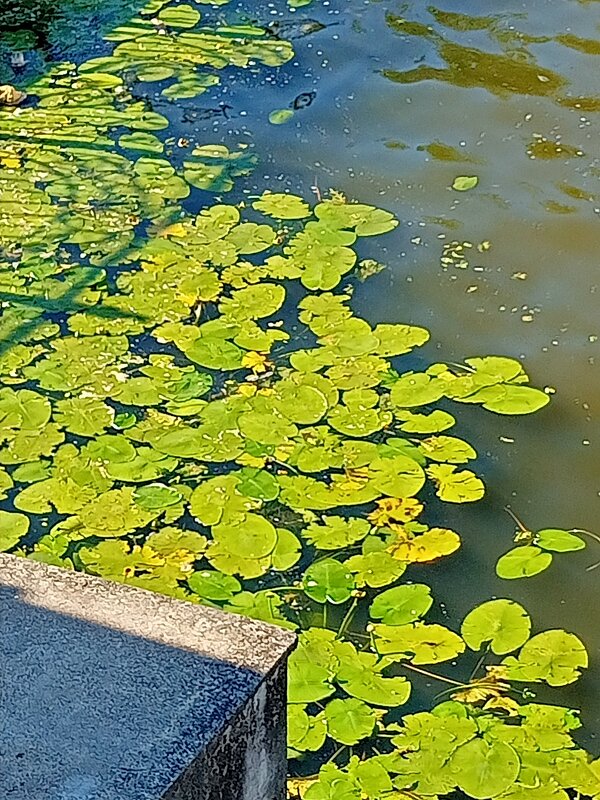 1 - Юра Светлаков