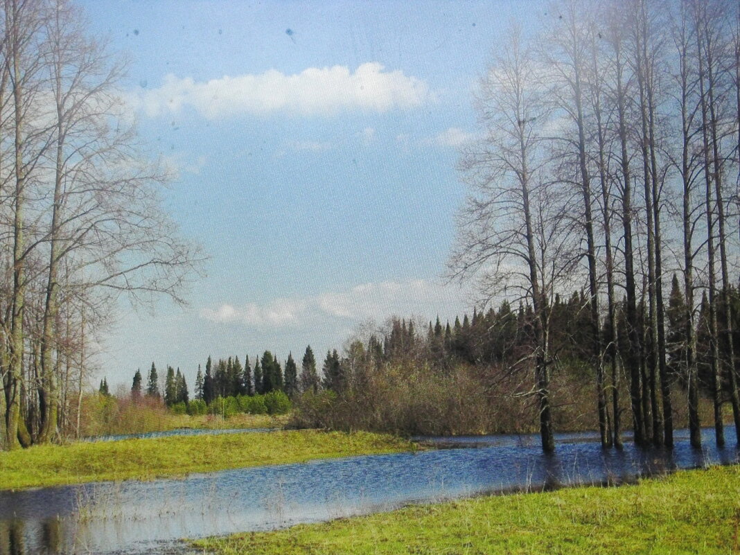 Гуляем по апрелю - Людмила Смородинская