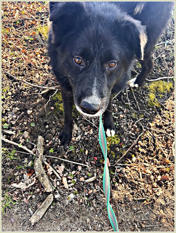 Марс. - Валерия Комова Марс. - Валерия Комова