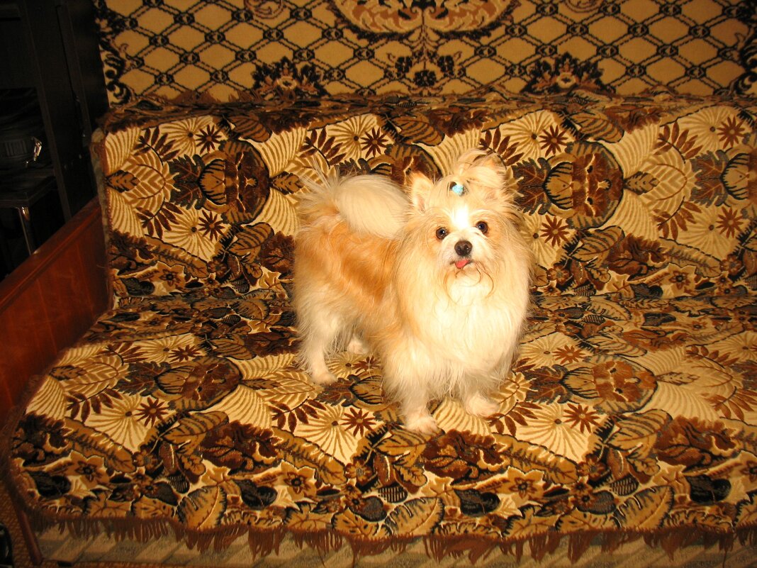 M - Андрей Л. В.