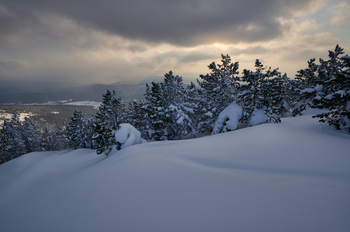 * - Александр Иванов