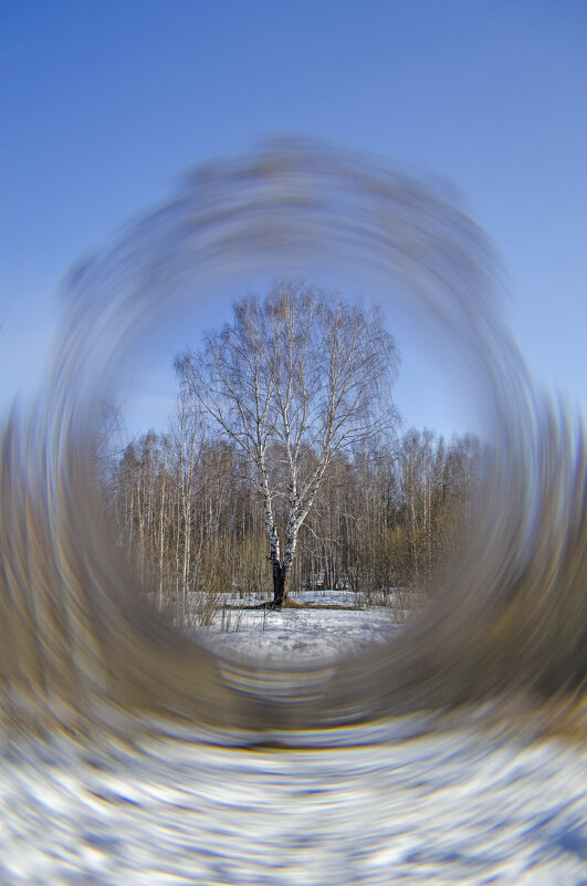 Одинокая Береза - Lyubov Busova