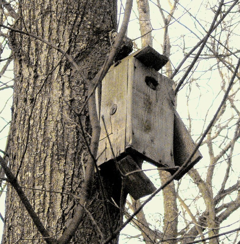 "Никогда не возвращайтесь туда, где вы были счастливы. Пока вы не делаете этого, все остается . - Юрий Вовк "Никогда не возвращайтесь туда, где вы были счастливы. Пока вы не делаете этого, все остается . - Юрий Вовк