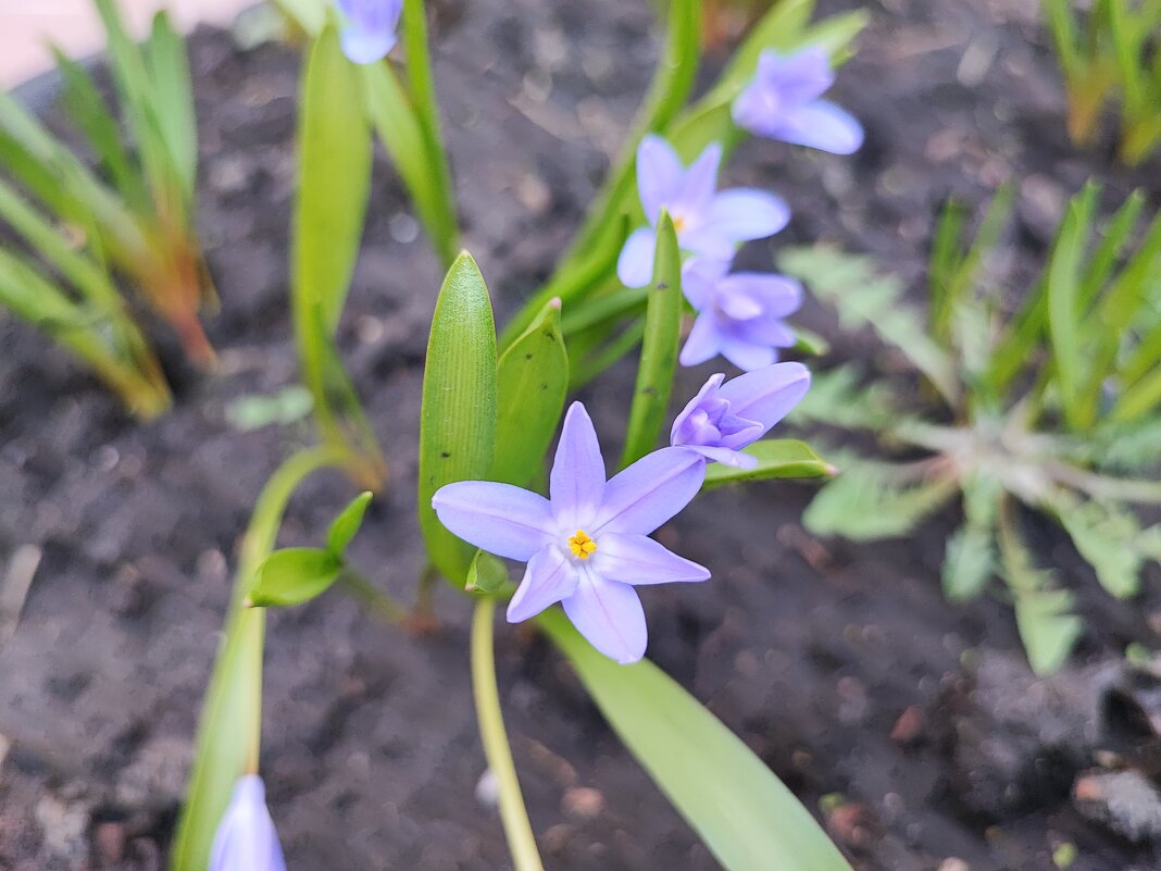 ,,, - Сергей Тимоновский