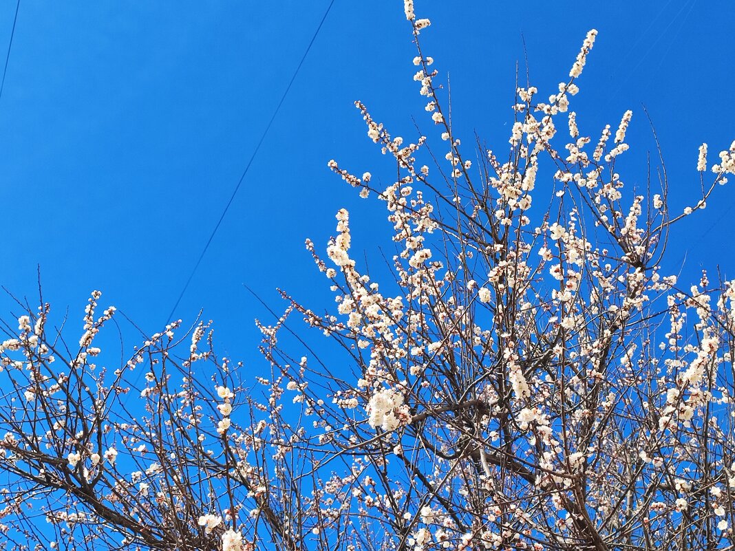 ,,, - Сергей Тимоновский