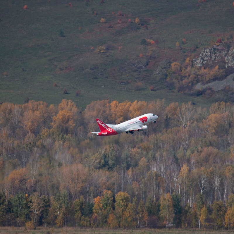 *** - владимир 