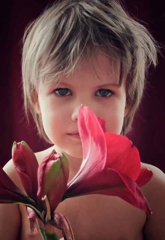 ... - ВЛАДИМИР ... - ВЛАДИМИР