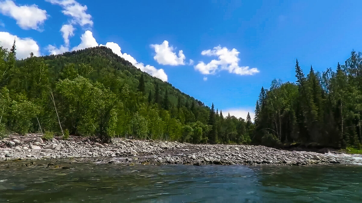 Алтай. - Aleksey Afonin