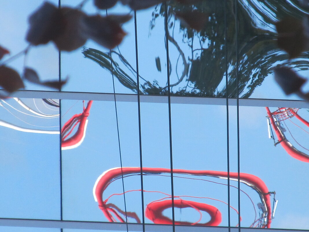 мир отражений - Елена Шаламова