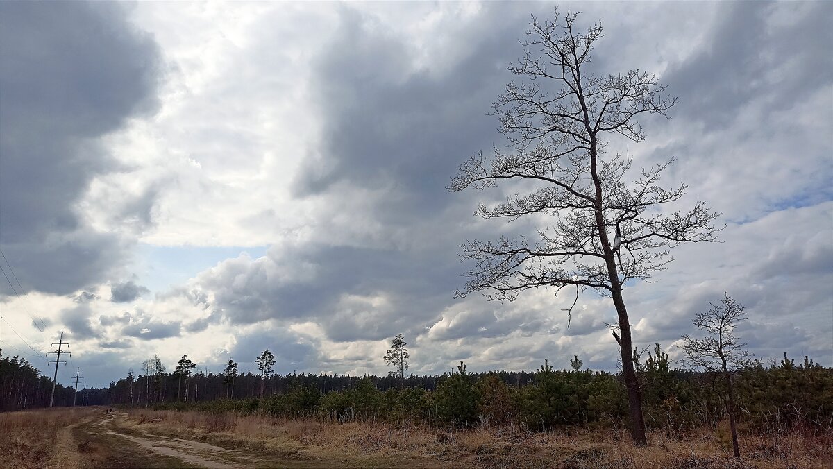 Весна - Татьяна Тюменка Весна - Татьяна Тюменка