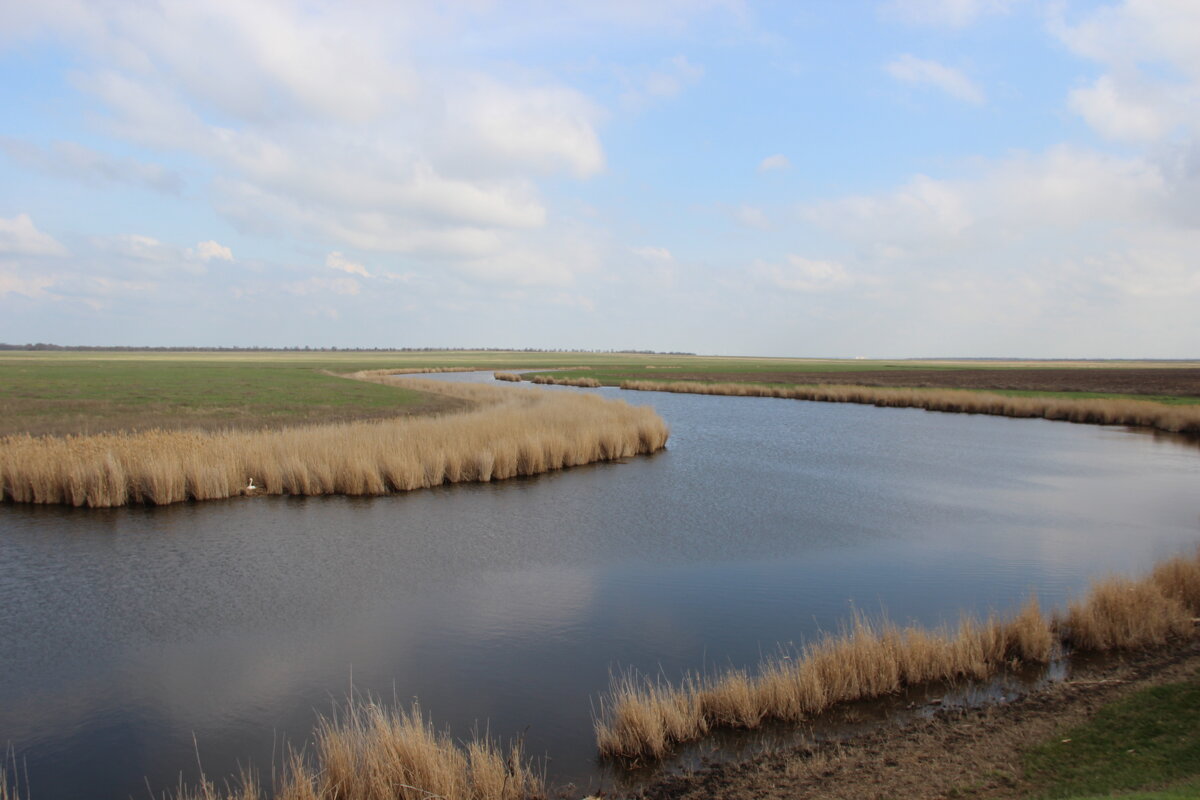Местная река. - Виктор 