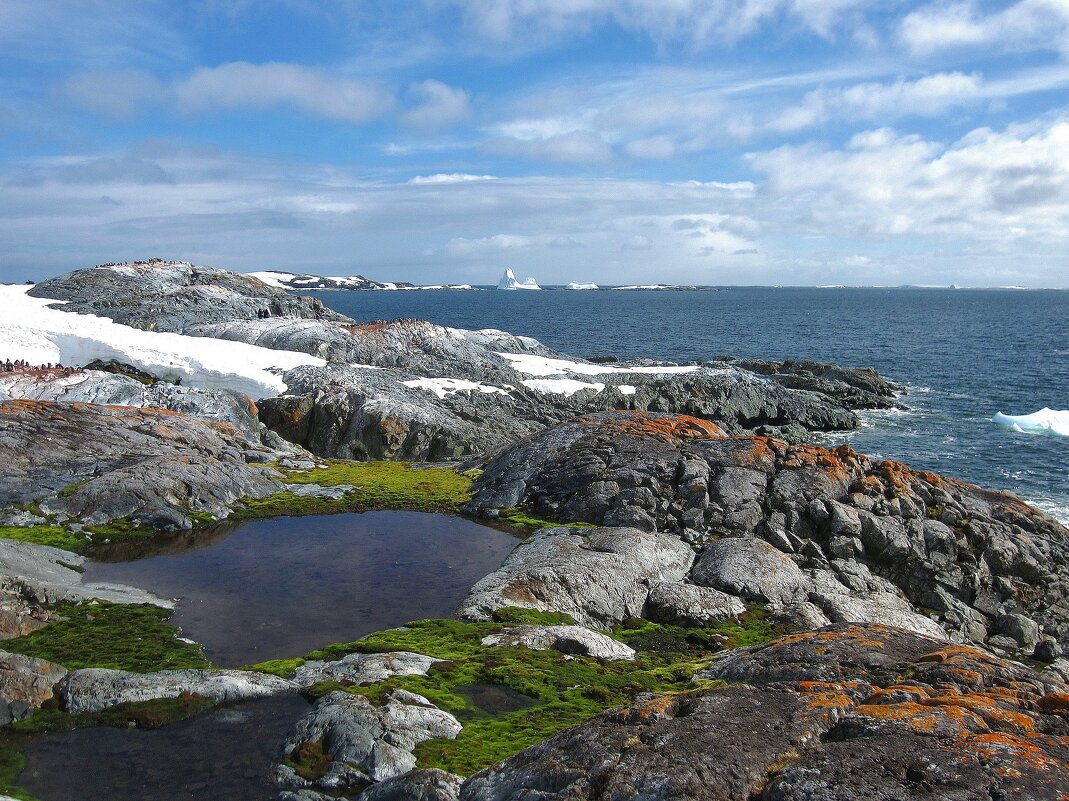 И в Антарктиде настало лето! - unix (Илья Утропов) И в Антарктиде настало лето! - unix (Илья Утропов)