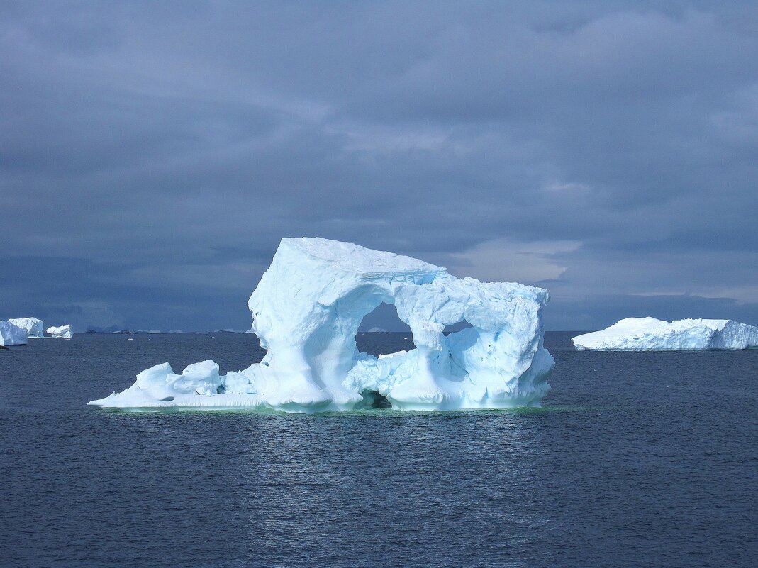 Айсберг в Южном океане, у берега Антарктического полуострова. - unix (Илья Утропов) Айсберг в Южном океане, у берега Антарктического полуострова. - unix (Илья Утропов)
