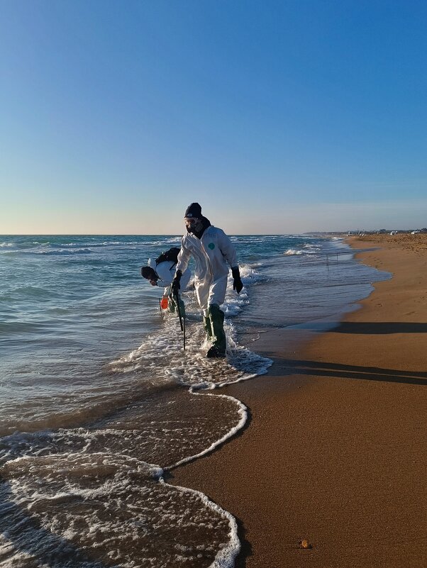 ЧС - Albina Lukyanchenko