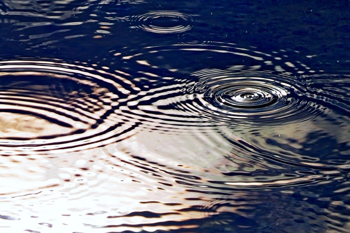 Первые капли - Сергей Швечков Первые капли - Сергей Швечков