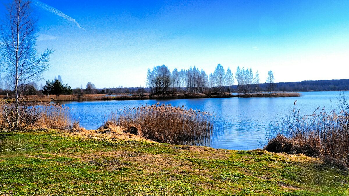 Весна в апреле (репортаж из поездок по). - Милешкин Владимир Алексеевич Весна в апреле (репортаж из поездок по). - Милешкин Владимир Алексеевич