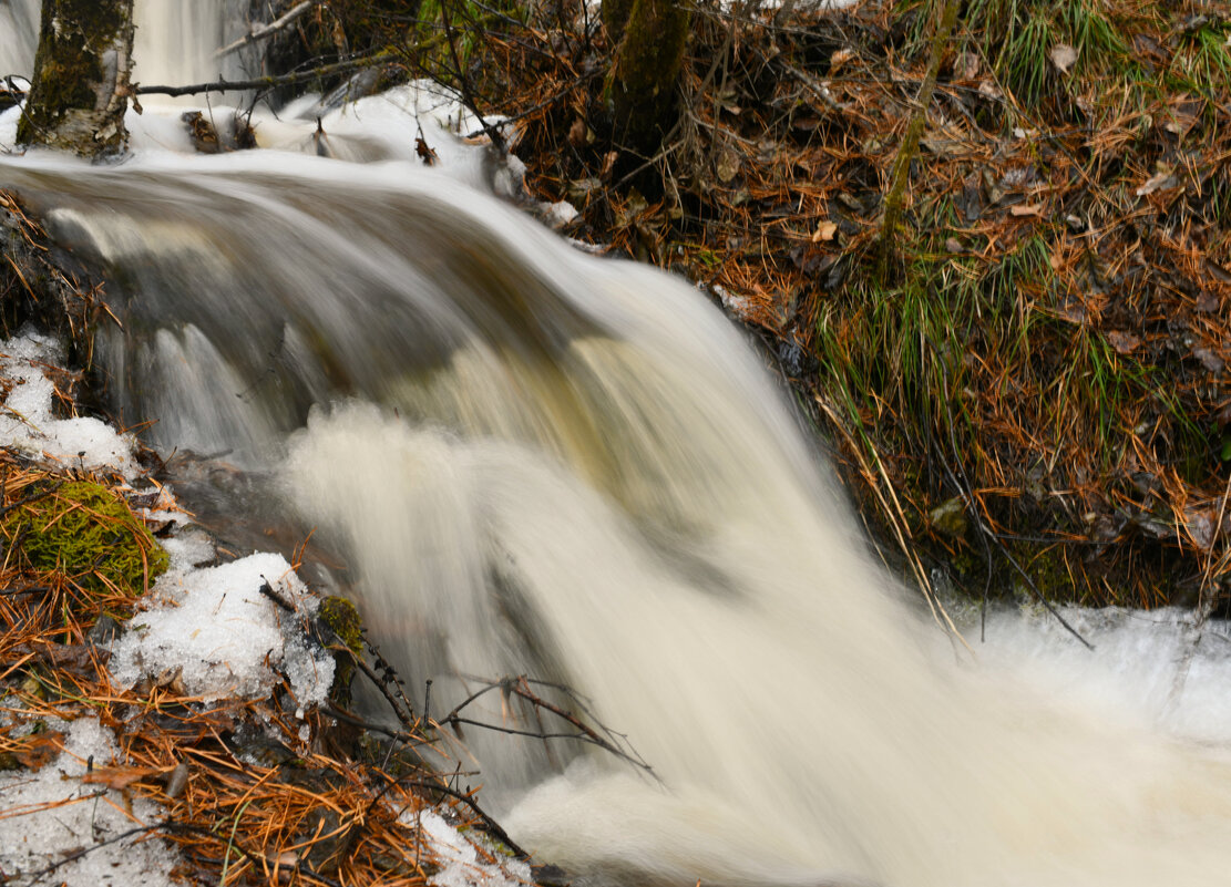 Бег горного ручья - Сергей Шаврин