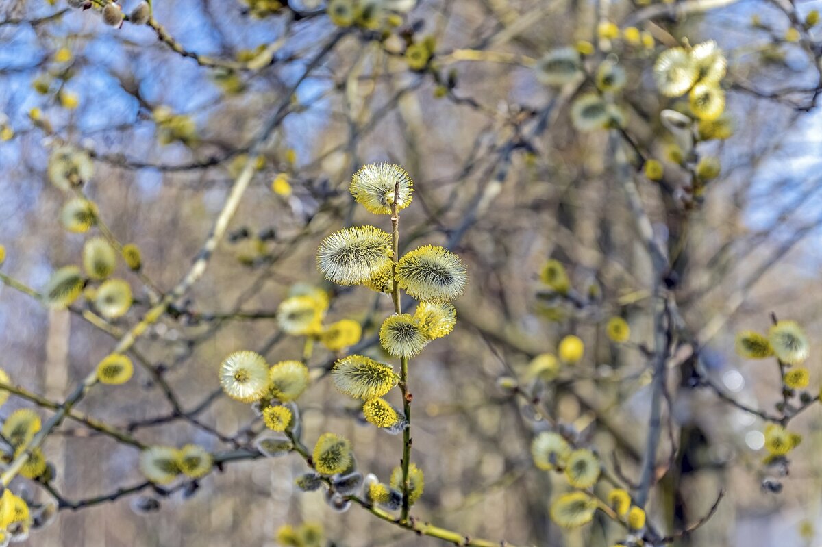 А вчера был апрель - Валерий Иванович А вчера был апрель - Валерий Иванович