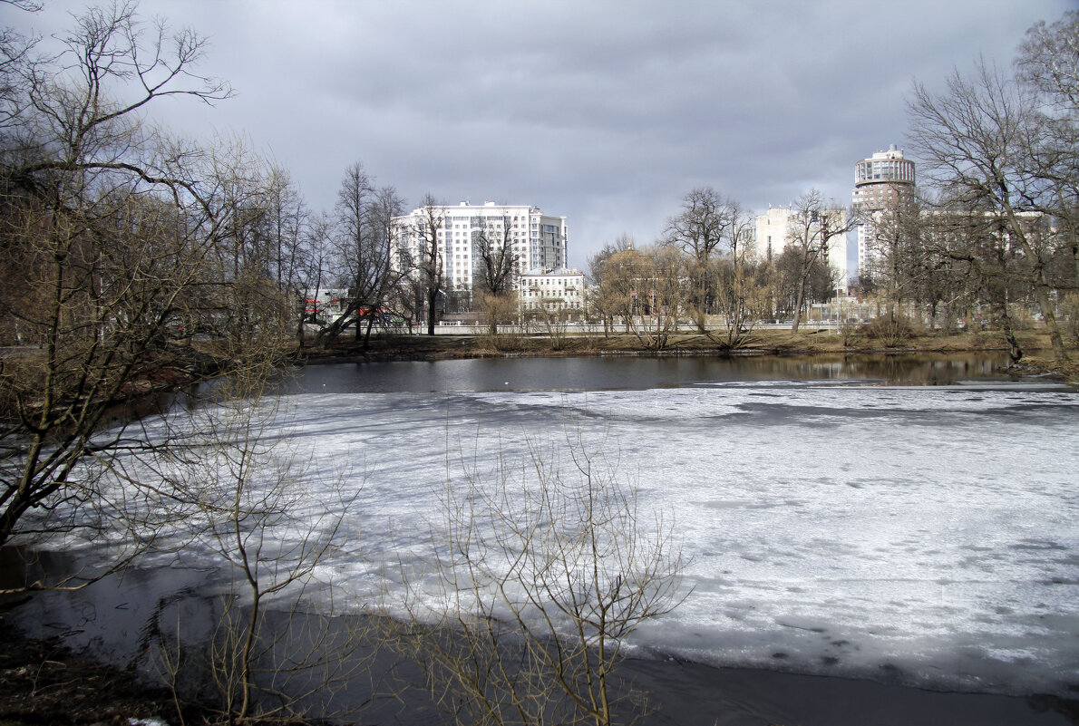 Весеннее пробуждение - Евгений Шафер Весеннее пробуждение - Евгений Шафер