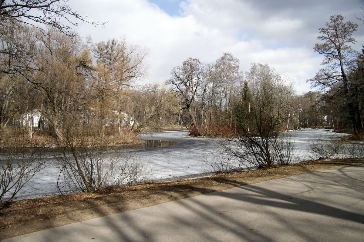 Весеннее пробуждение - Евгений Шафер Весеннее пробуждение - Евгений Шафер