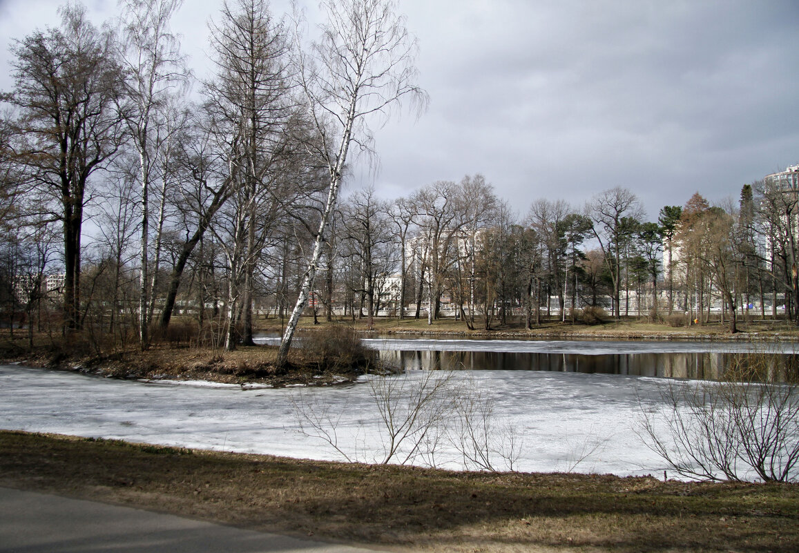 Весеннее пробуждение - Евгений Шафер