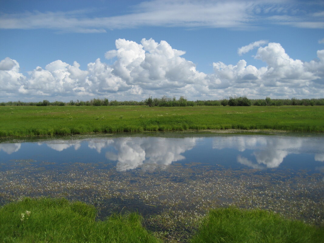 Лето - Anna Ivanova Лето - Anna Ivanova