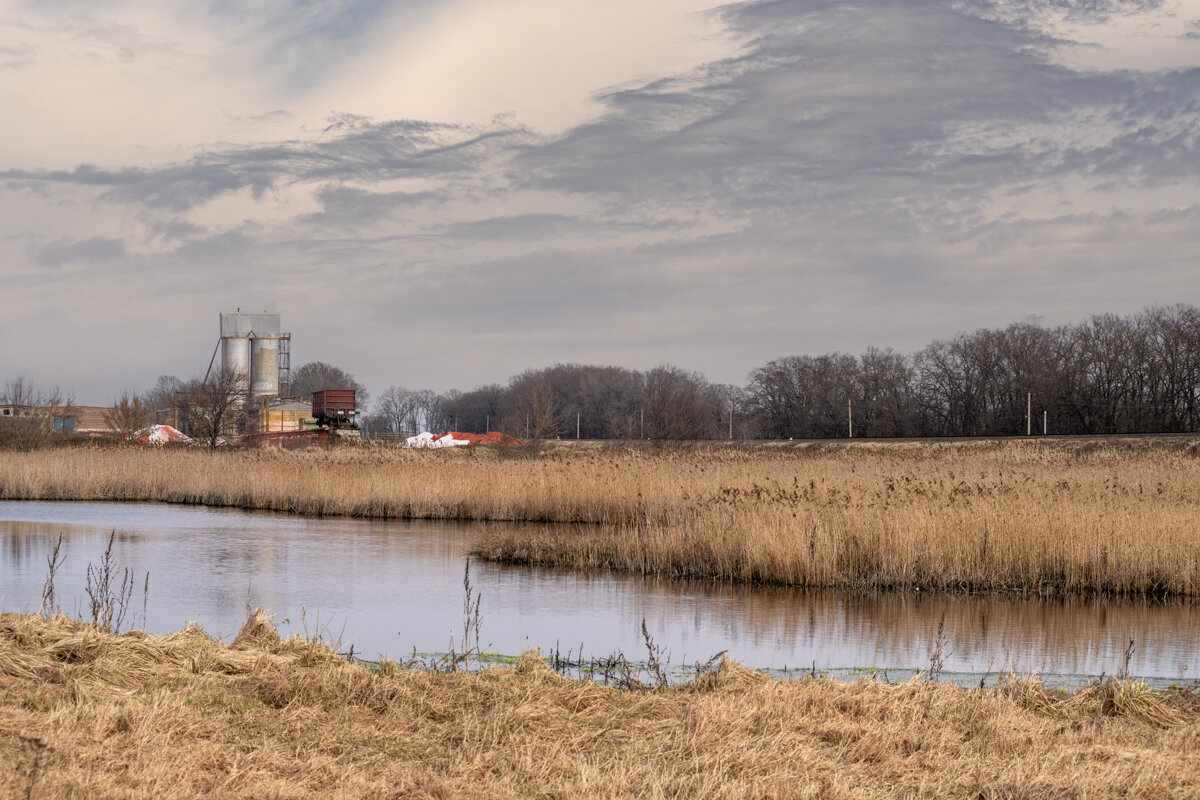 Болото - Игорь Сикорский