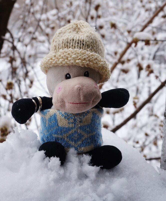 Апрель месяц, перешли на зимнюю одежду) - Nataly St. 