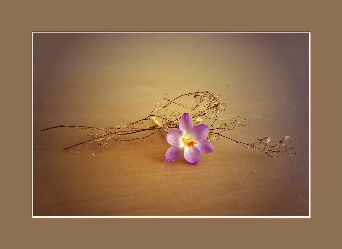 ЭТЮД... - Elvira E. ЭТЮД... - Elvira E.