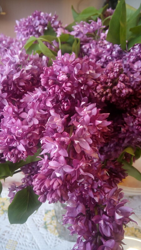 ,,, - Сергей Тимоновский ,,, - Сергей Тимоновский