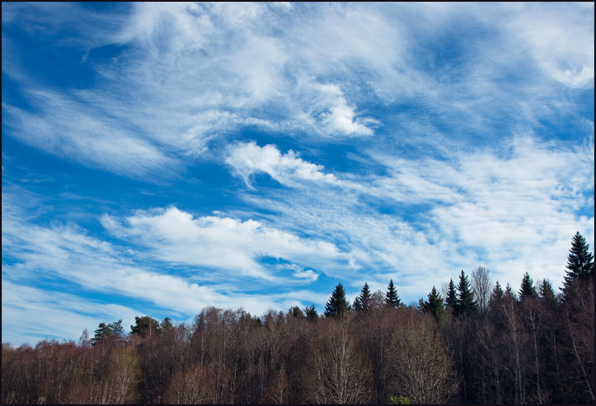 Причудливые облака - lady v.ekaterina Причудливые облака - lady v.ekaterina