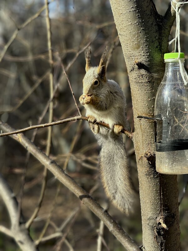 *** - Сергей Адигамов