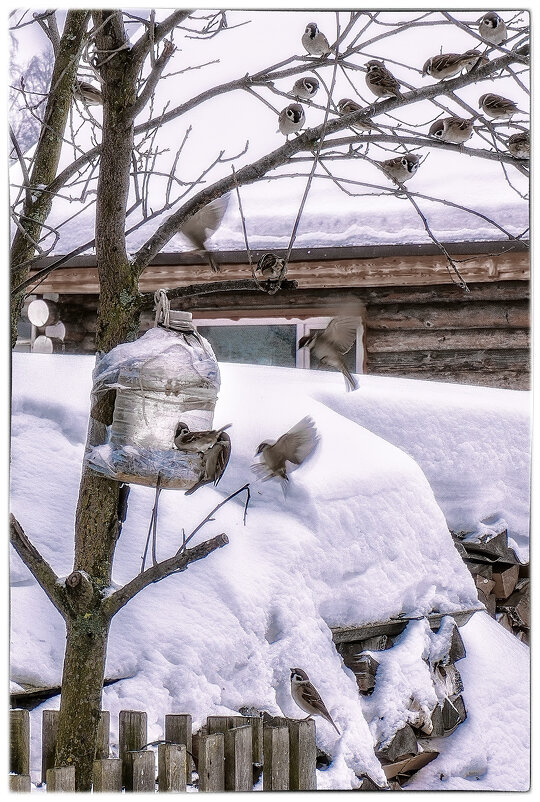 Карусель - Николай 
