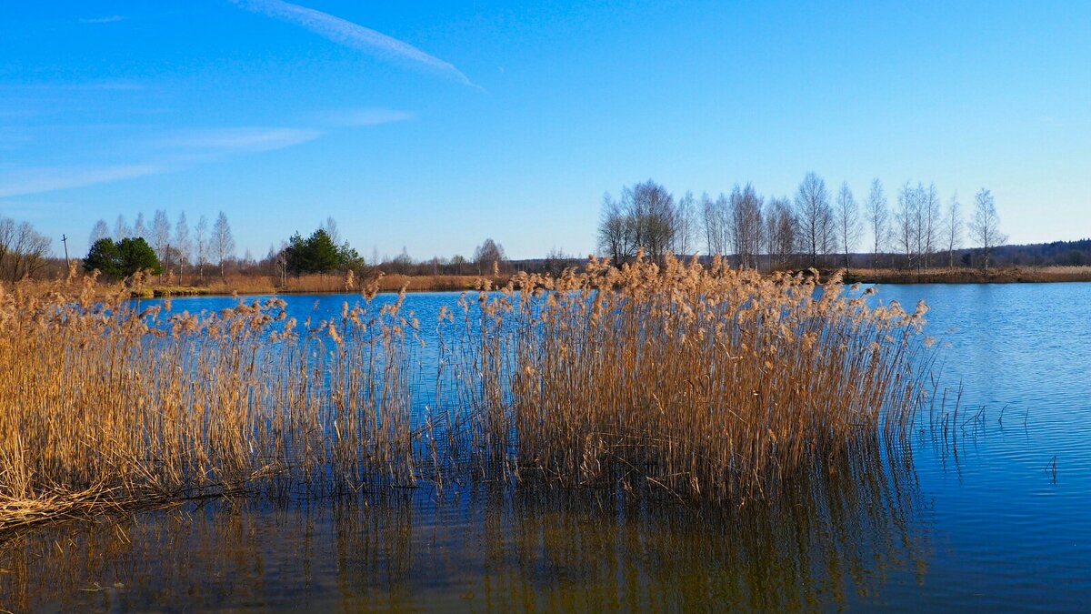 Весна в апреле (репортаж из поездок по). - Милешкин Владимир Алексеевич 