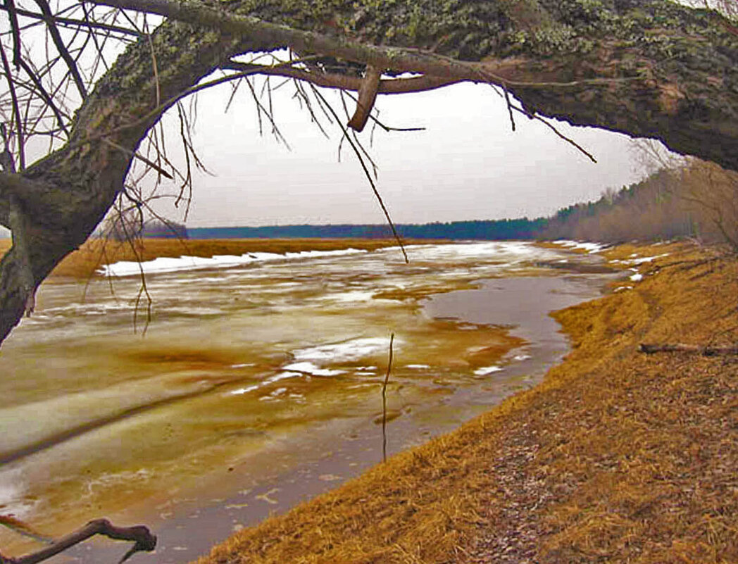 После зимних бурь... - Владимир После зимних бурь... - Владимир