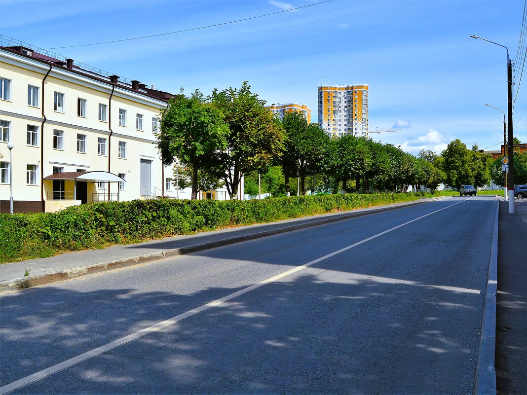 Чебоксары. Липовая аллея улицы Зои Яковлевой летом. - Пётр Чернега