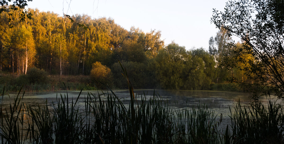 **** - Владимир Безбородов