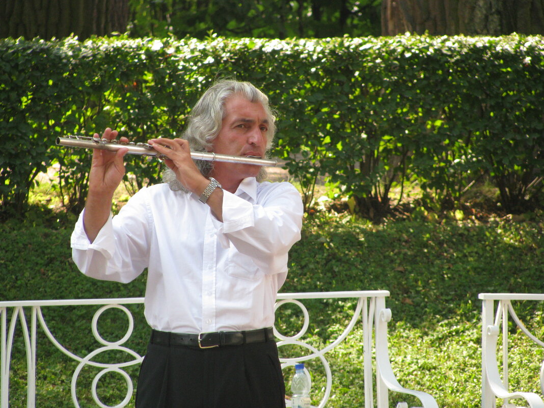 Волшебная флейта Царского Села - Олег Зоркий