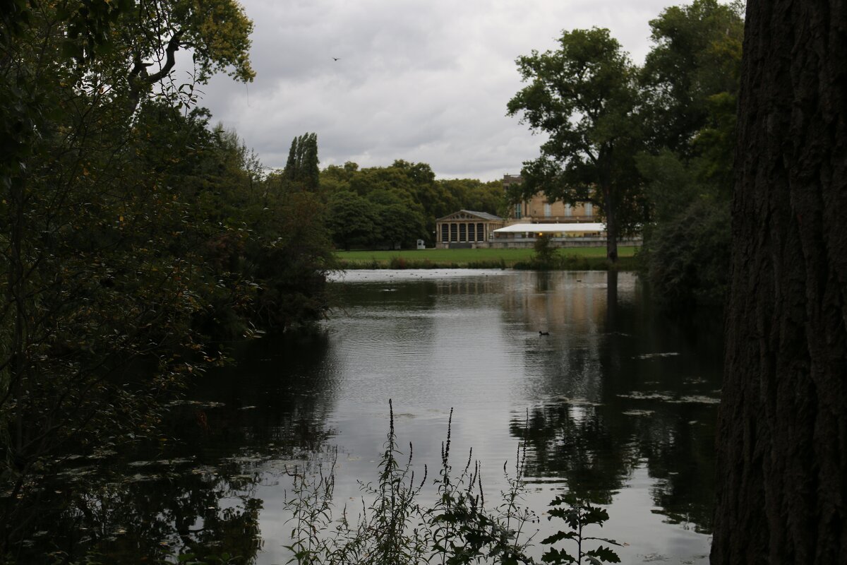 Хмурый вечер в парке Букингемского дворца - Ольга 