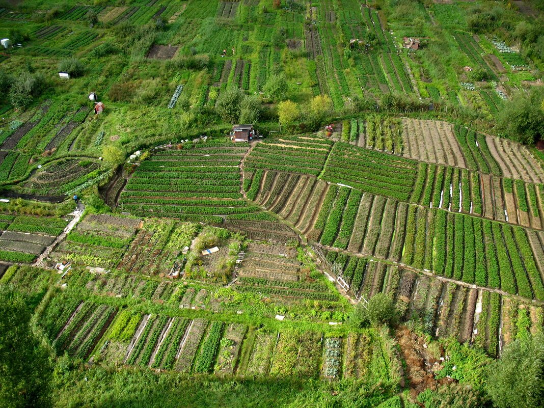 Огороды - Андрей Л. В. Огороды - Андрей Л. В.