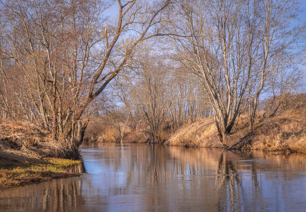 **** - Елизавета .