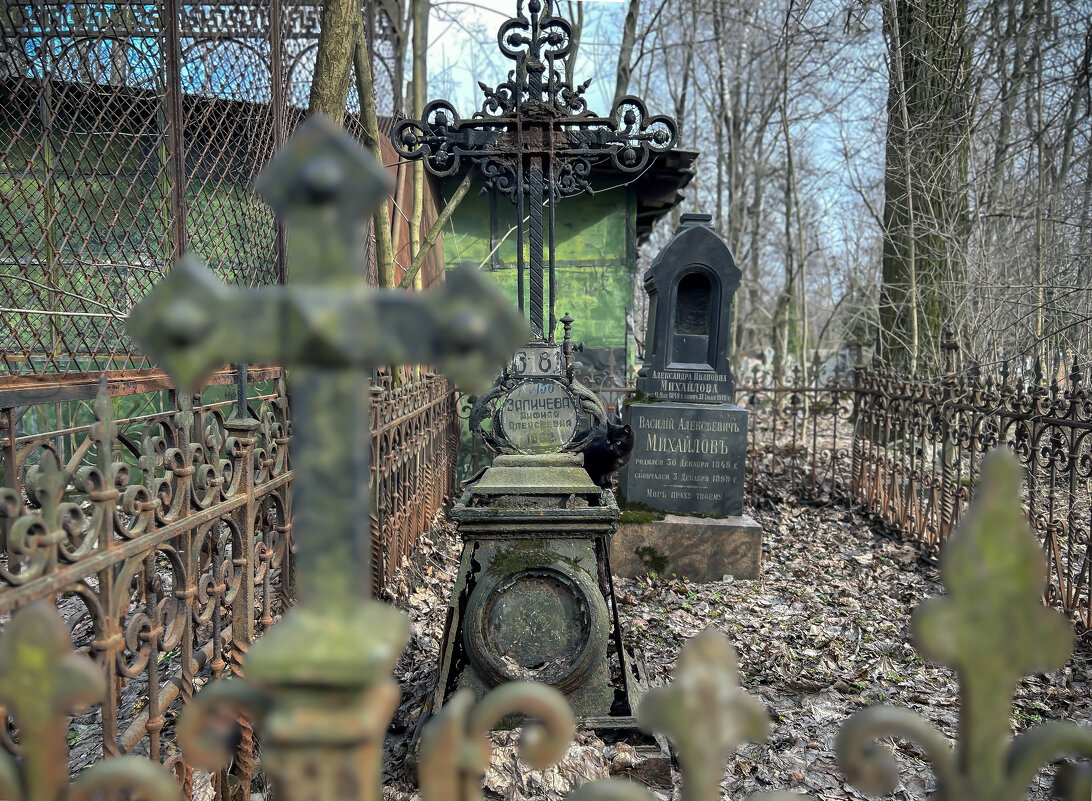 Кот - Дмитрий Иванов