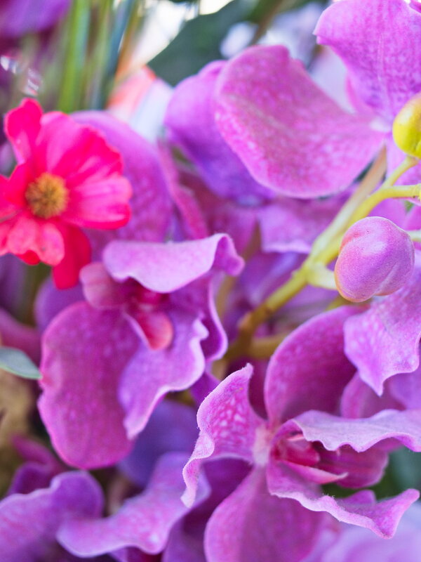 *** - Witalij Loewin *** - Witalij Loewin