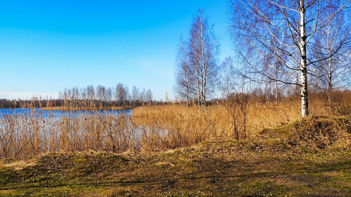 Про смоленскую весну. - Милешкин Владимир Алексеевич Про смоленскую весну. - Милешкин Владимир Алексеевич
