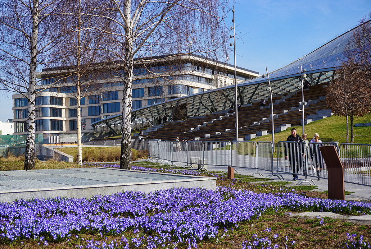 Первоцветы  в Зарядье - Ольга 