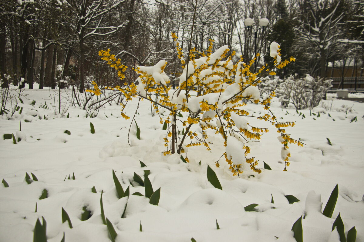 апрельский снег - Владимир Зырянов