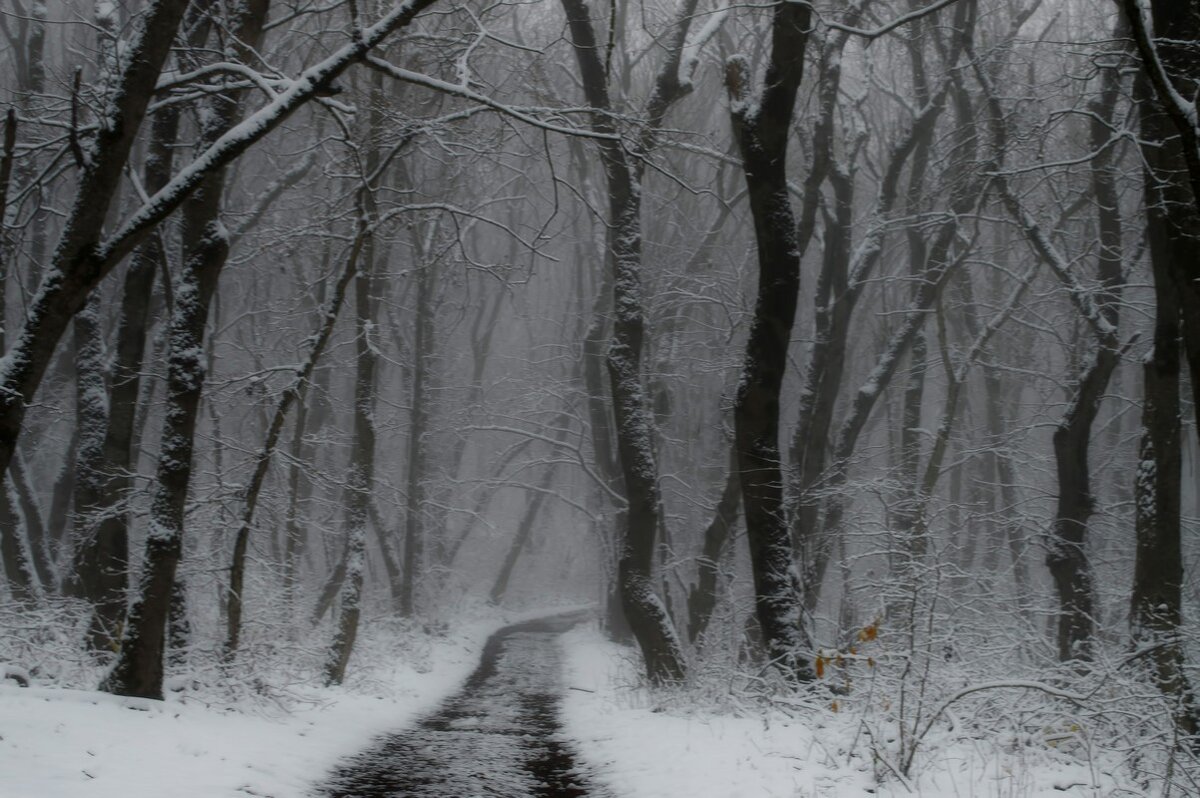 Метель...... - Юрий Цыплятников Метель...... - Юрий Цыплятников