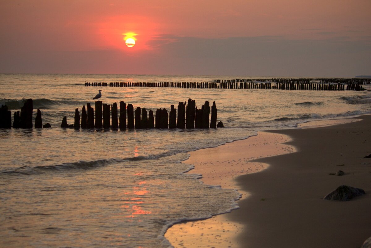Балтийский рассвет - Юрий. Шмаков