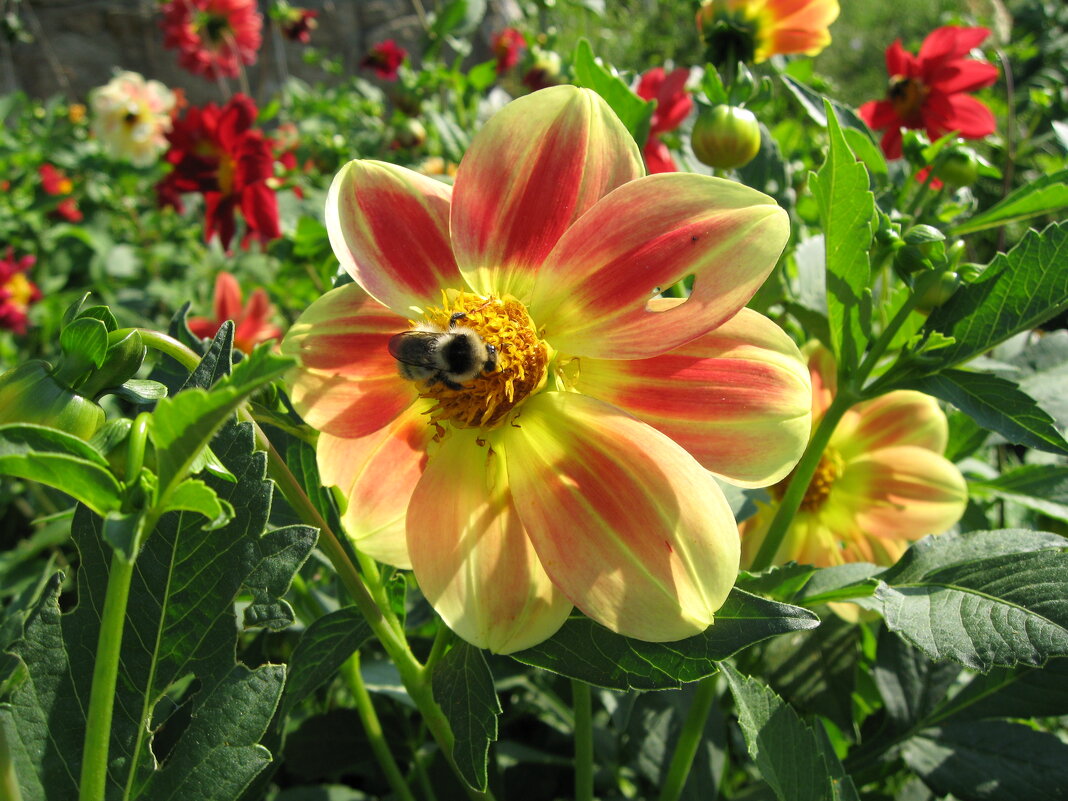 Не оторваться как вкусно! - Дмитрий Петров Не оторваться как вкусно! - Дмитрий Петров