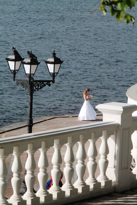 Невеста и море - Олег Зоркий